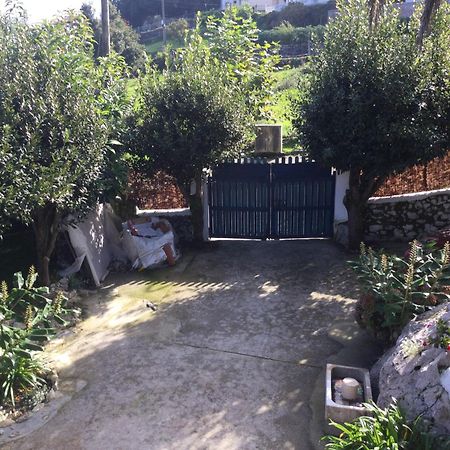 Casa Jardin Rocablanca Llanes Villa Celorio  Dış mekan fotoğraf